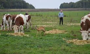 producteur viande dans le  beaujolais